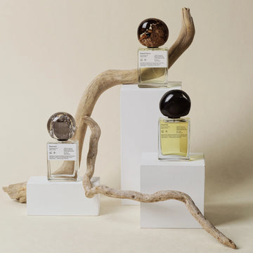 Oddity Fragrance