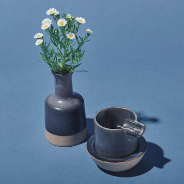 Houseplant Ashtray Set By Seth Midnight