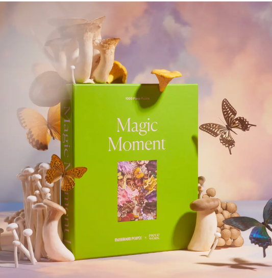 Piecework Puzzle Magic Moment 1000 pieces