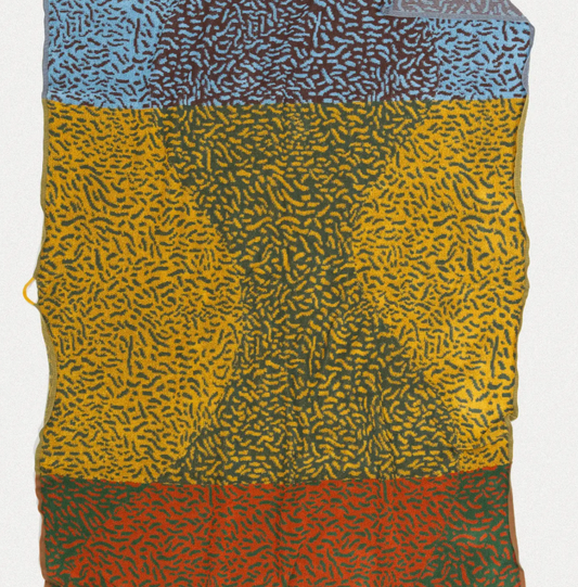 Towel Studio Large Worm Blanket/ Beach Towel in Multicolor