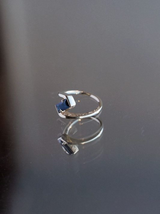 Dallas Maynard X Misfit X Everywhere  Sapphire Ring Collab