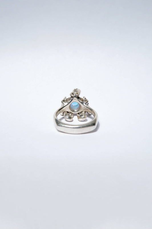Bravais Lattice Ring 250507